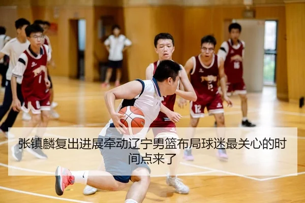 张镇麟复出进展牵动辽宁男篮布局球迷最关心的时间点来了